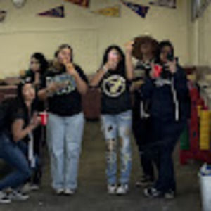 Meet your Posher, Daisy